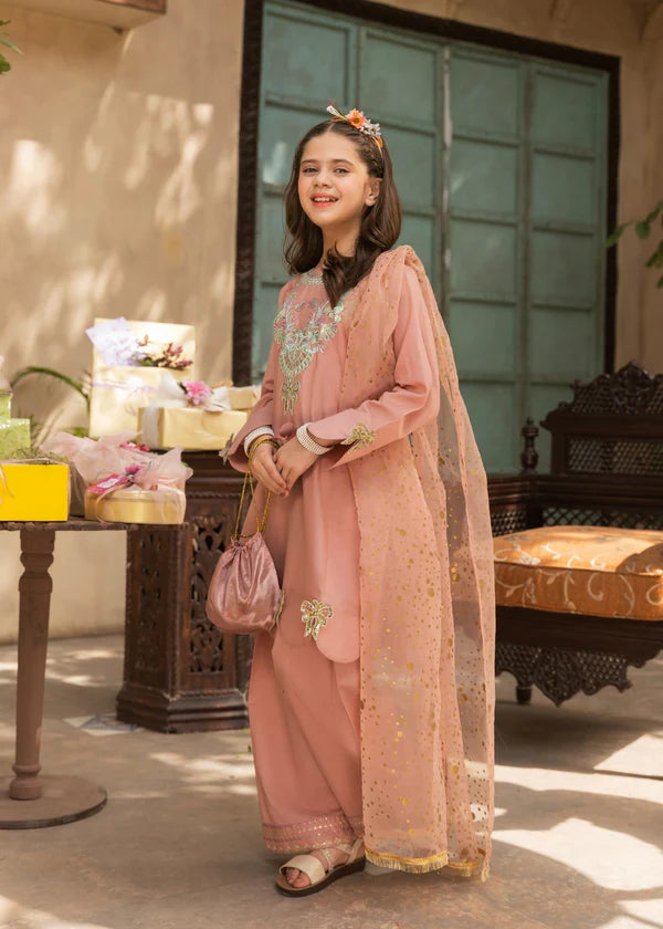 Girls Sober Lawn Salwar Suit