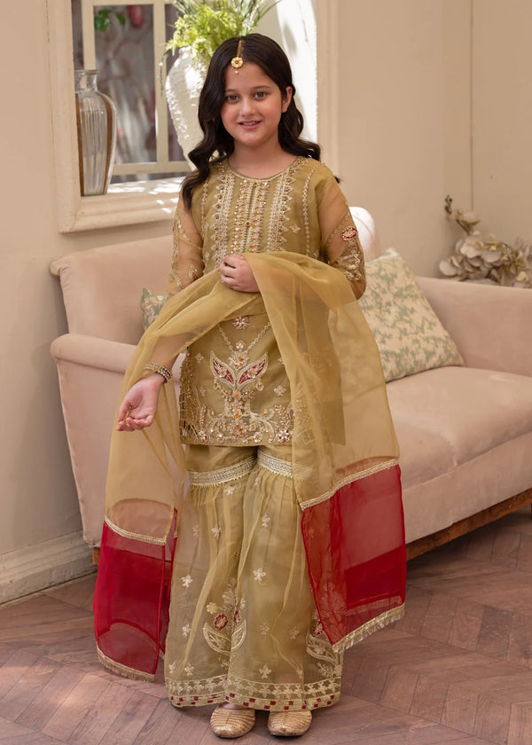 Girls Hena Night Gharara