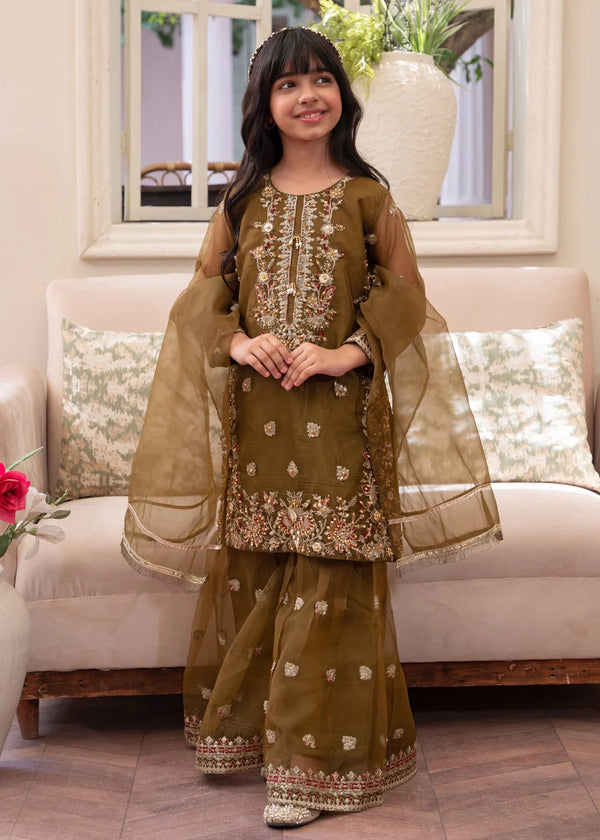 Girls Mehndi Party Gharara