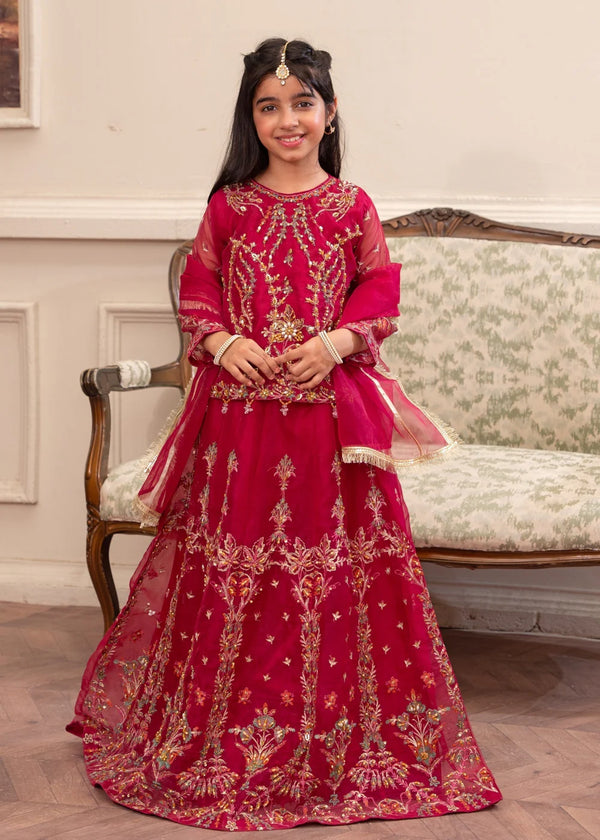 Girls Organza Party Lehenga