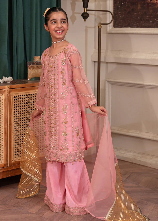 Girls Pink Party Wear Sharara