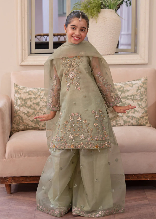 Girls Elegant Party Sharara
