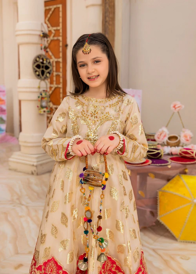 Girls Party wear Outfits Online