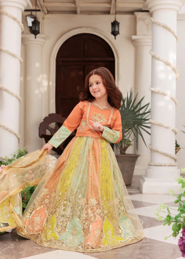Girls Gorgeous Party Lehenga