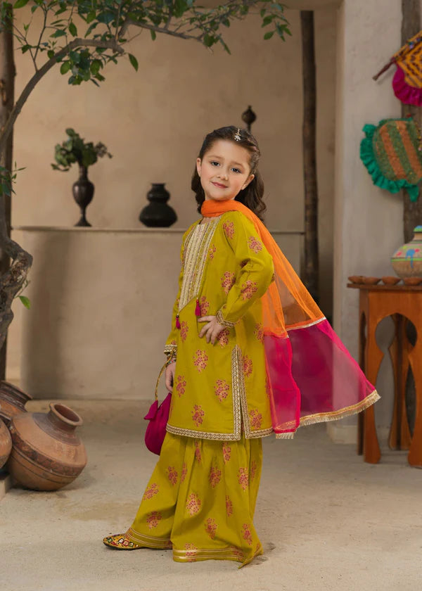 Girls Mehndi Wear Comfy Gharara