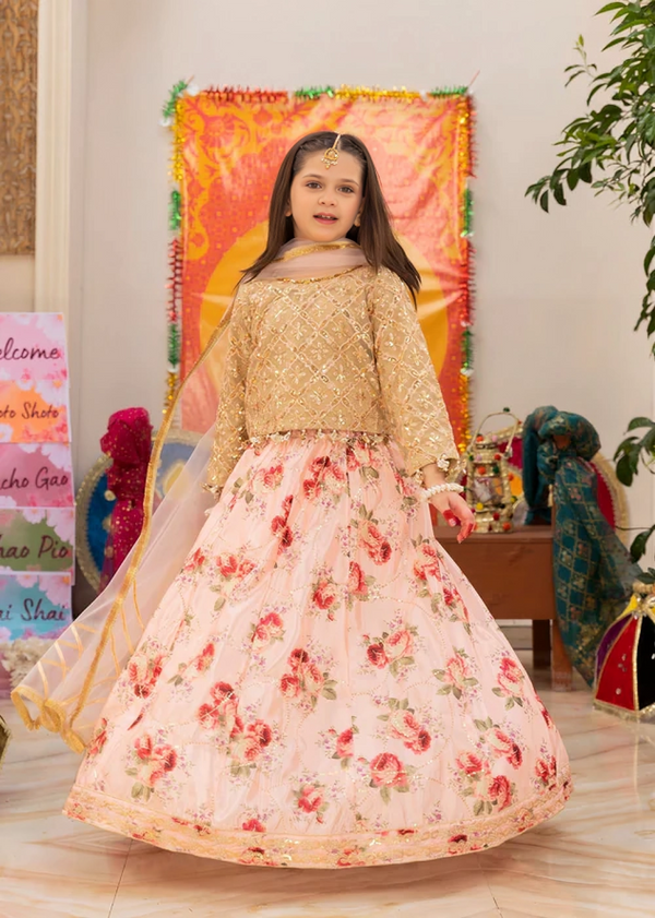 Girls Party wear lehenga