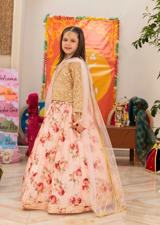 Girls Party wear lehenga