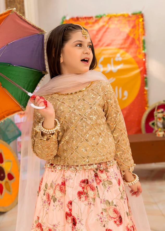Girls Party wear lehenga
