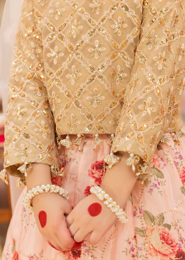 Girls Party wear lehenga