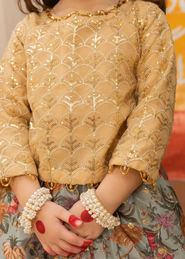 kids party wear lehenga